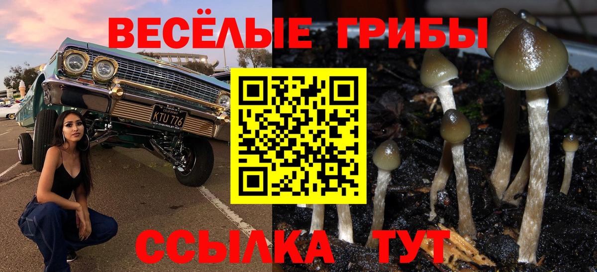 Галлюциногенные грибы GOLDEN TEACHER Еманжелинск