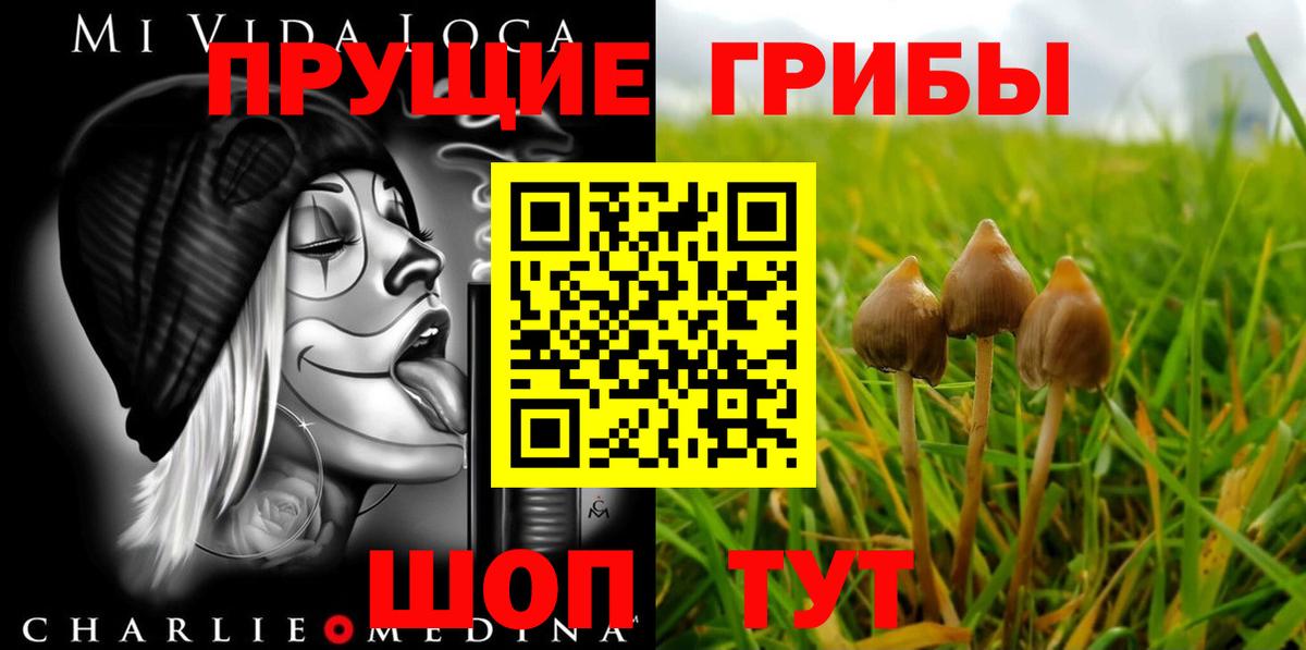 Еманжелинск  Галлюциногенные грибы Psilocybe  Вход с VPN  Галлюциногенные грибы прущие грибы 